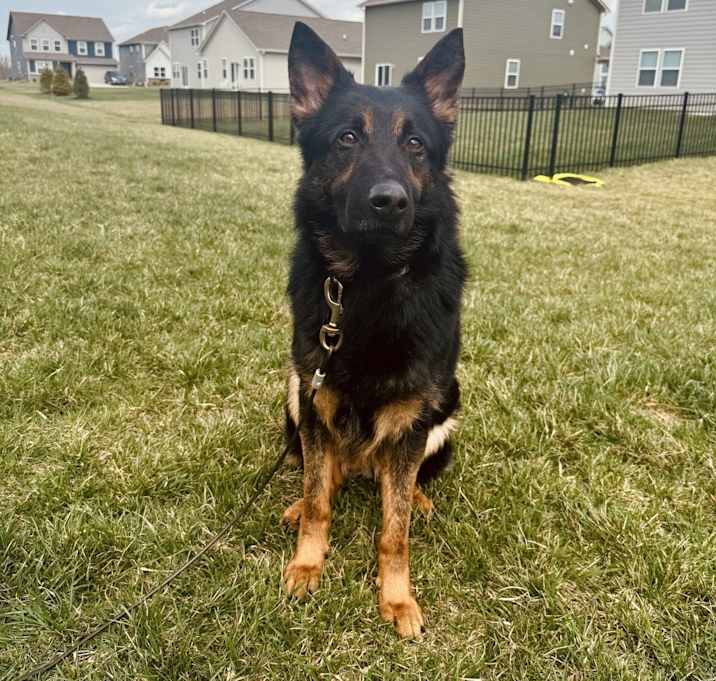 Photo of Drako
