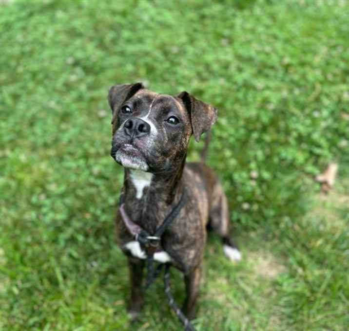 Photo of JULIET