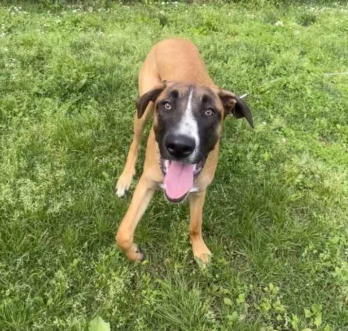 Photo of Gus