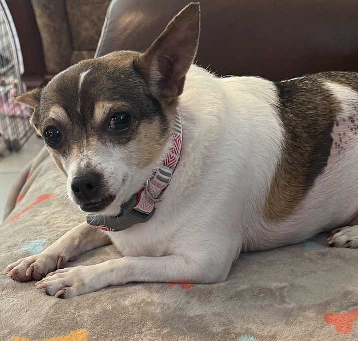 Photo of Kaylee