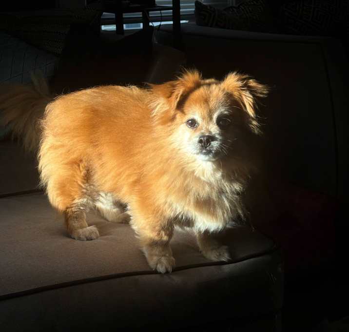 Photo of Wally