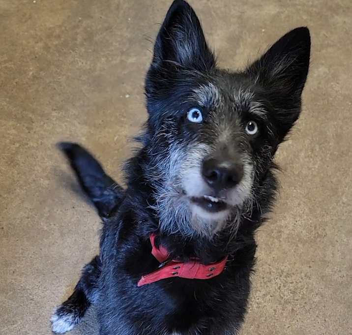 Photo of Luna