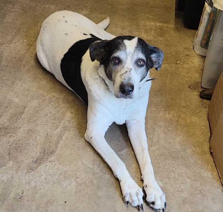 Photo of MayBelle