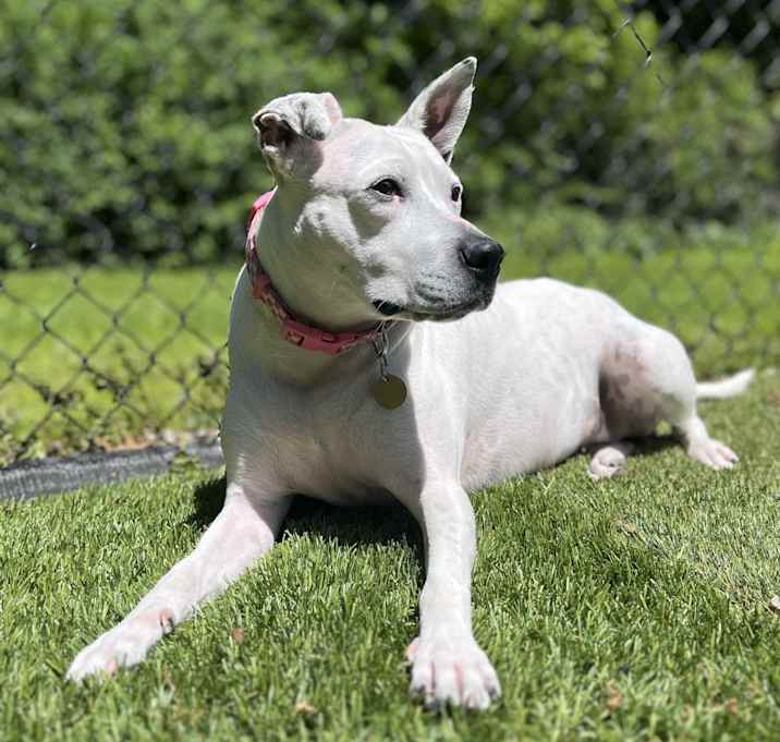 Photo of Molly