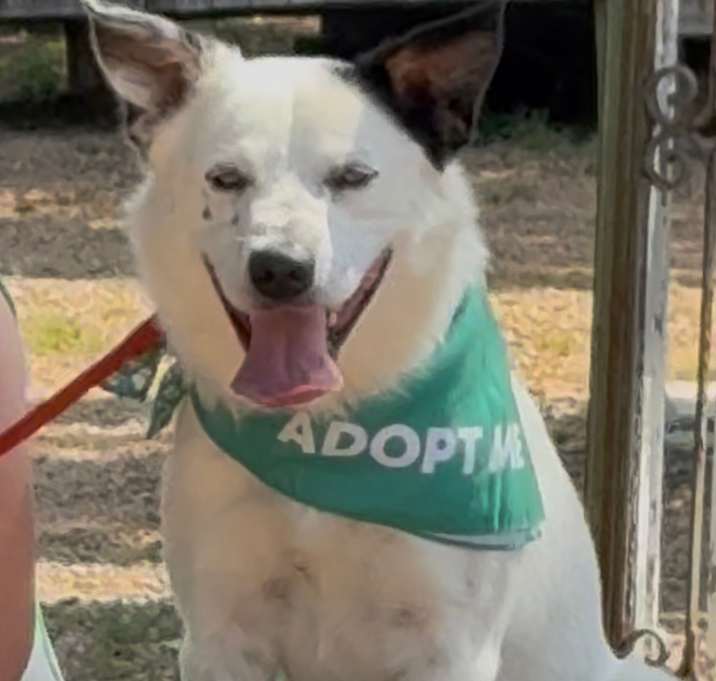 Photo of Ghost