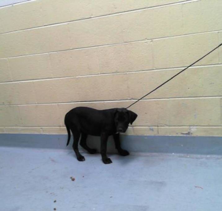 Photo of LITTLE