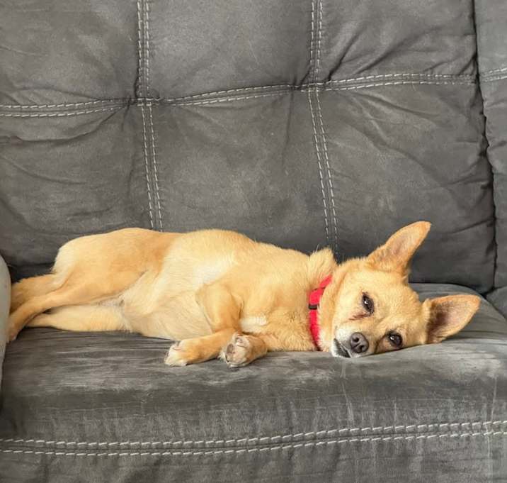 Photo of Tinker