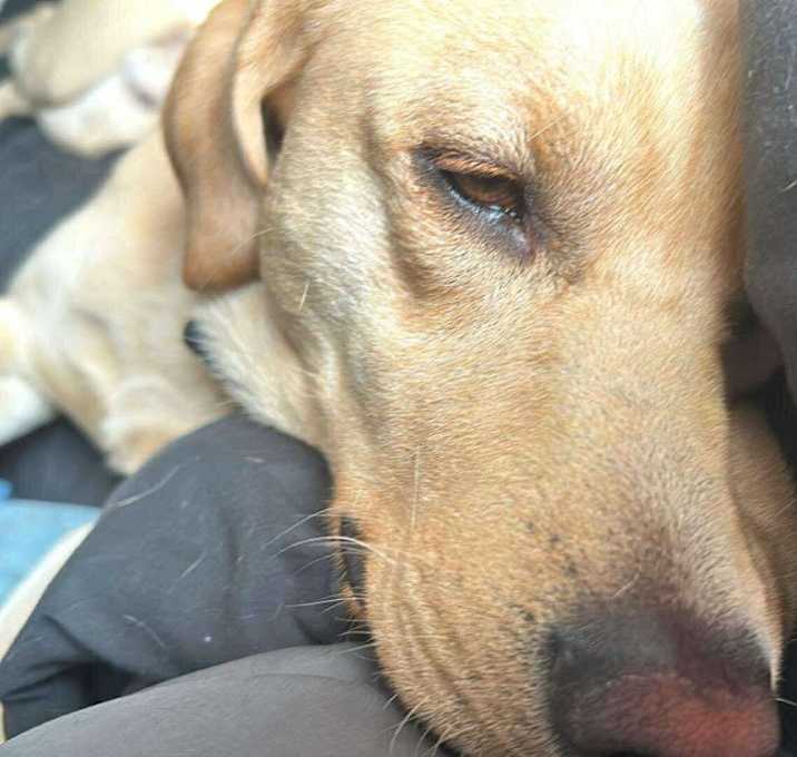 Photo of Tuck