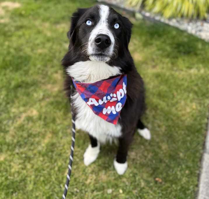 Photo of Griff