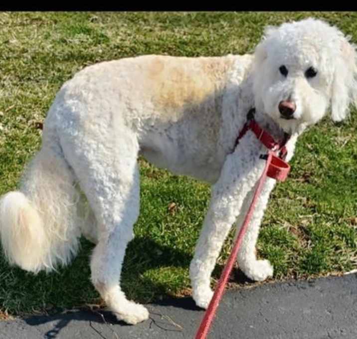 Photo of Daisy