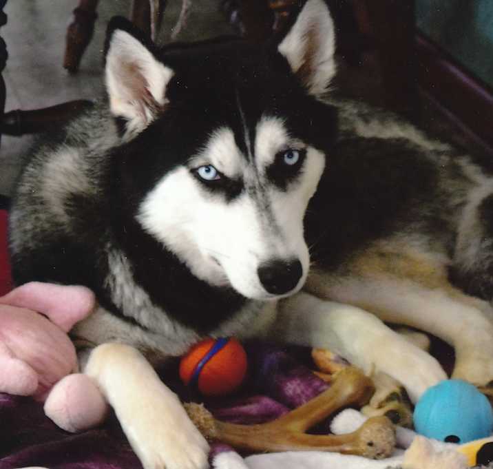 Photo of Azure Skye