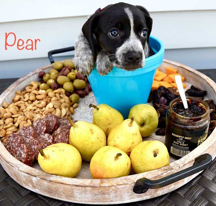 Photo of Pear (Charcuterie Litter)