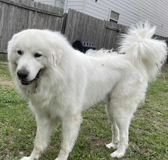 Photo of Charlie