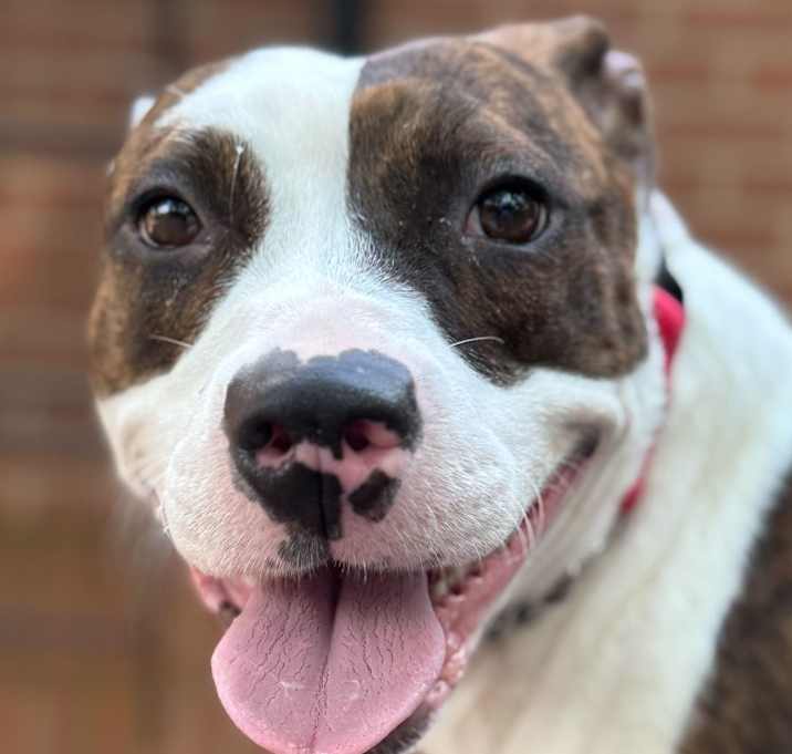 Photo of Hazel