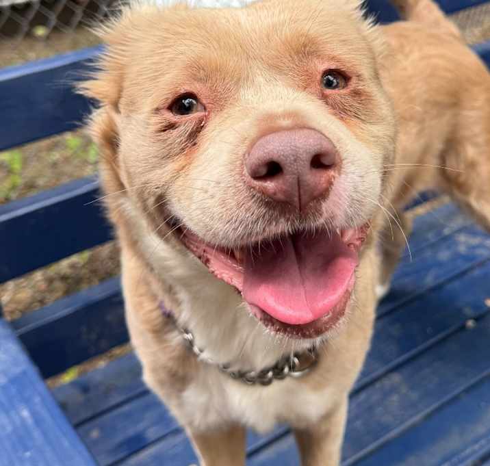 Photo of Nova