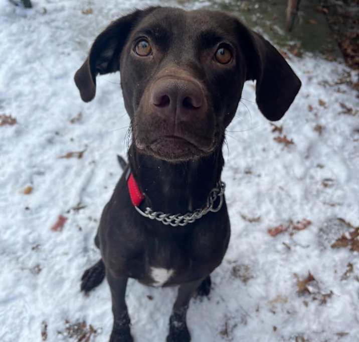 Photo of Connie