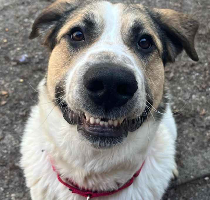 Photo of Hootch