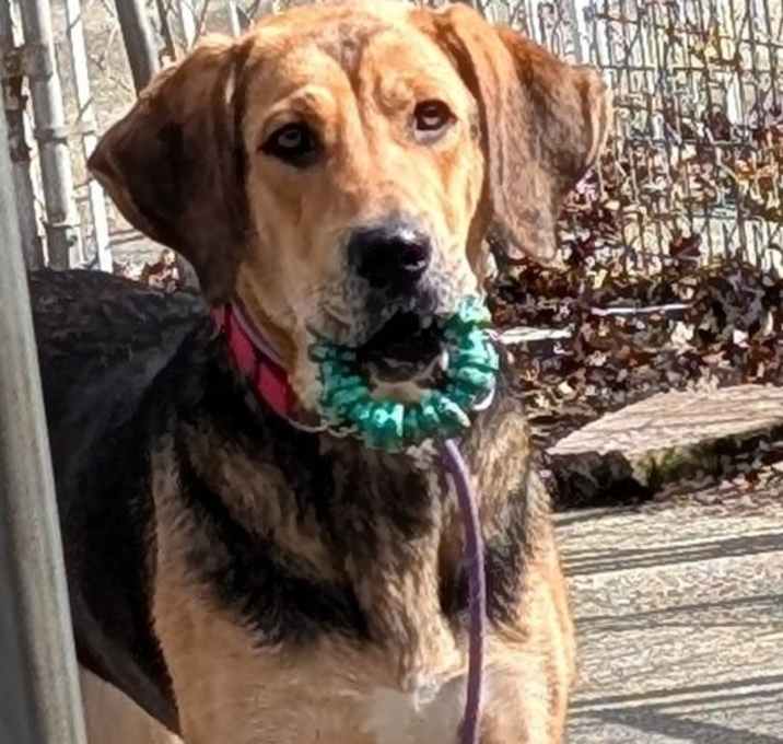 Photo of Bindi
