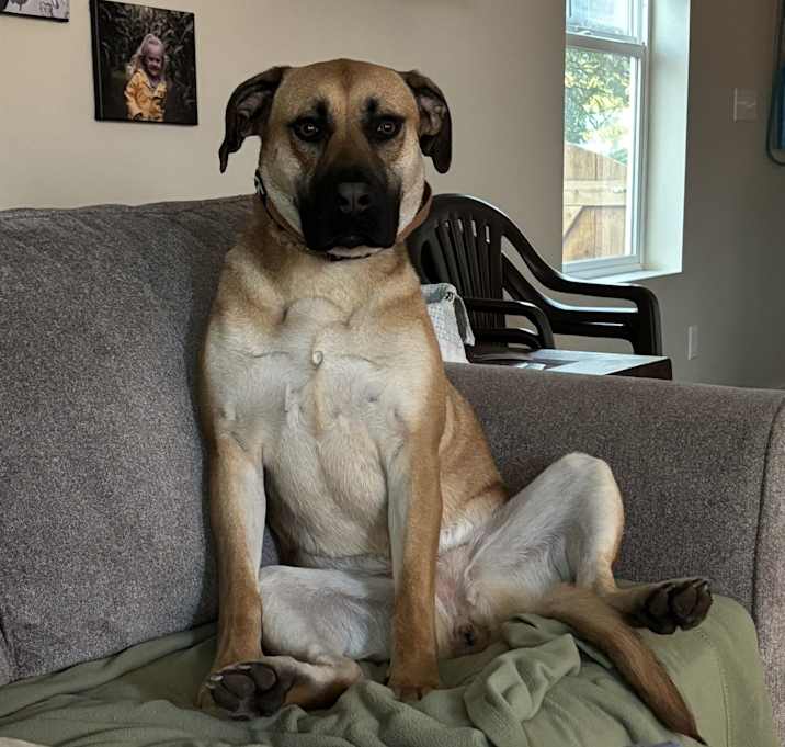 Photo of Penny