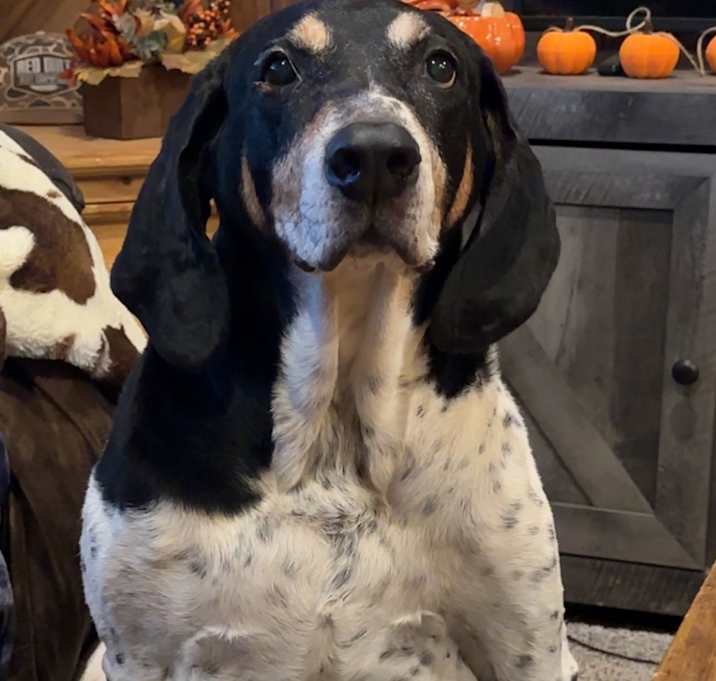 Photo of Charlie