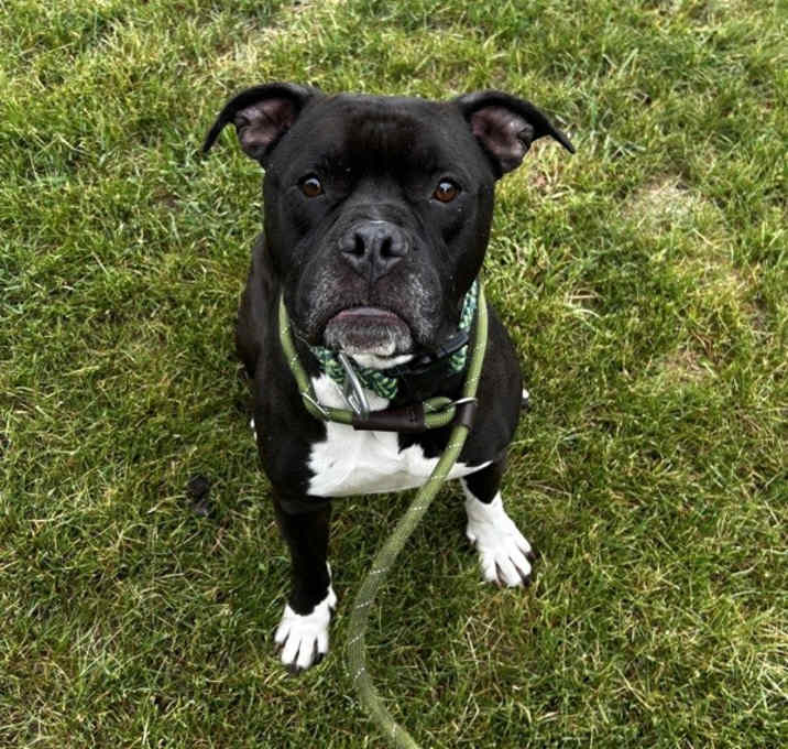 Photo of Bernard