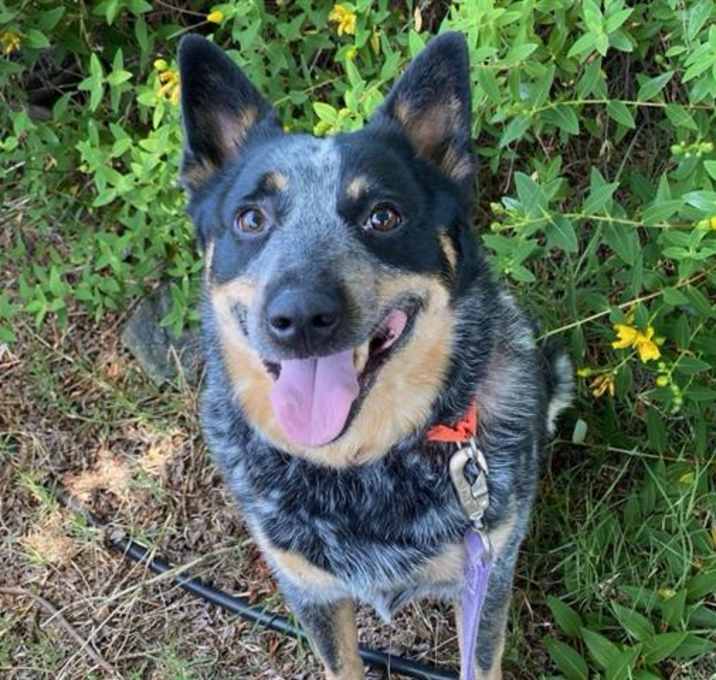 Photo of MAX