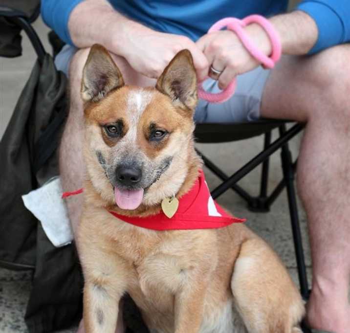 Photo of Zena (Red)