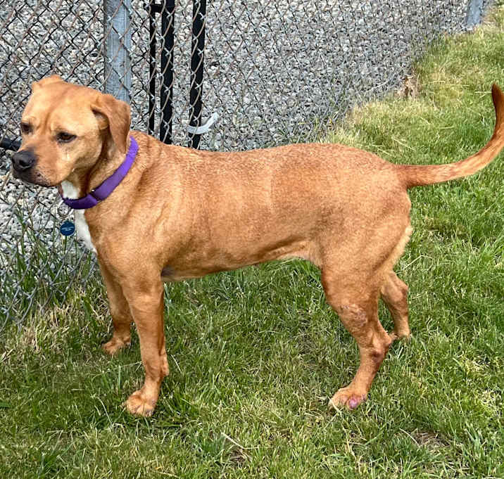 Photo of Pixie