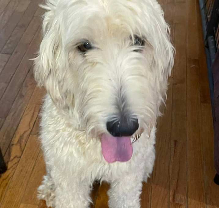 Photo of Dutchess