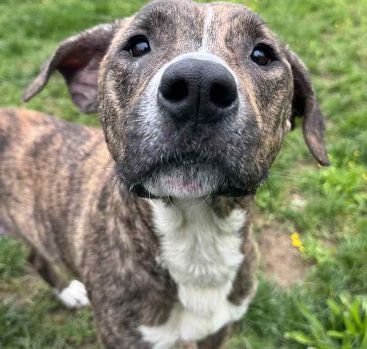 Photo of Charm
