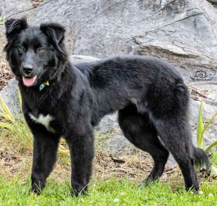 Photo of BEAUTIFUL BONNIE