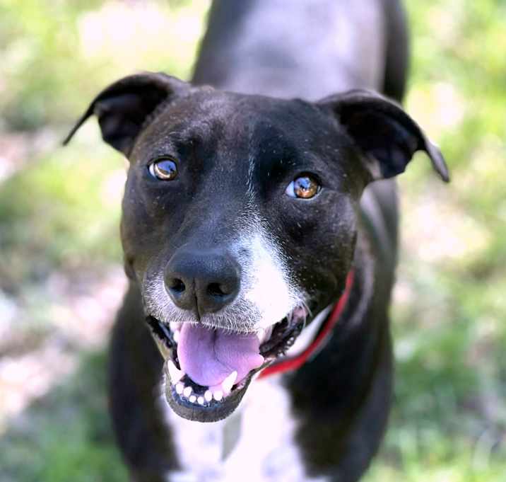 Photo of Mia