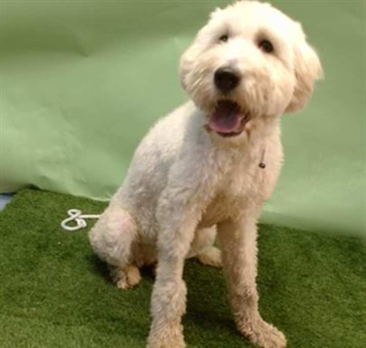 Photo of DAISY