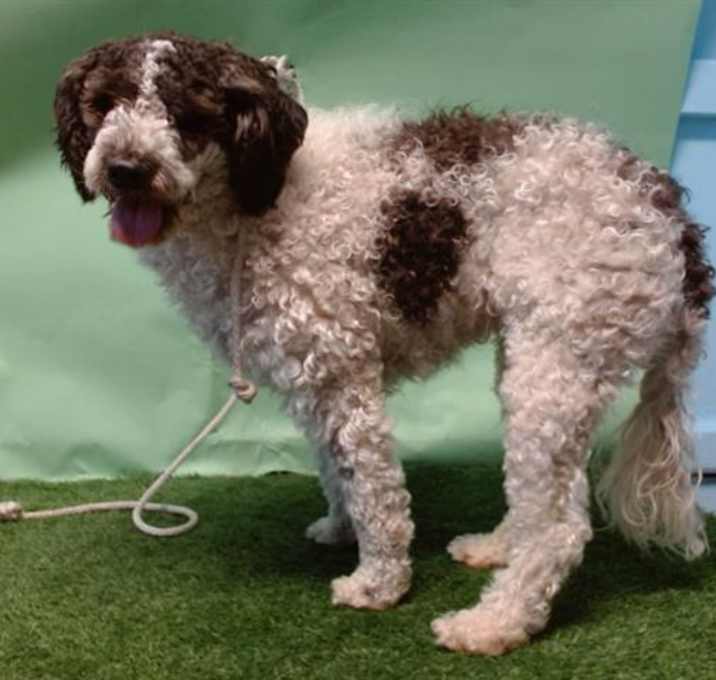 Photo of SUSIE