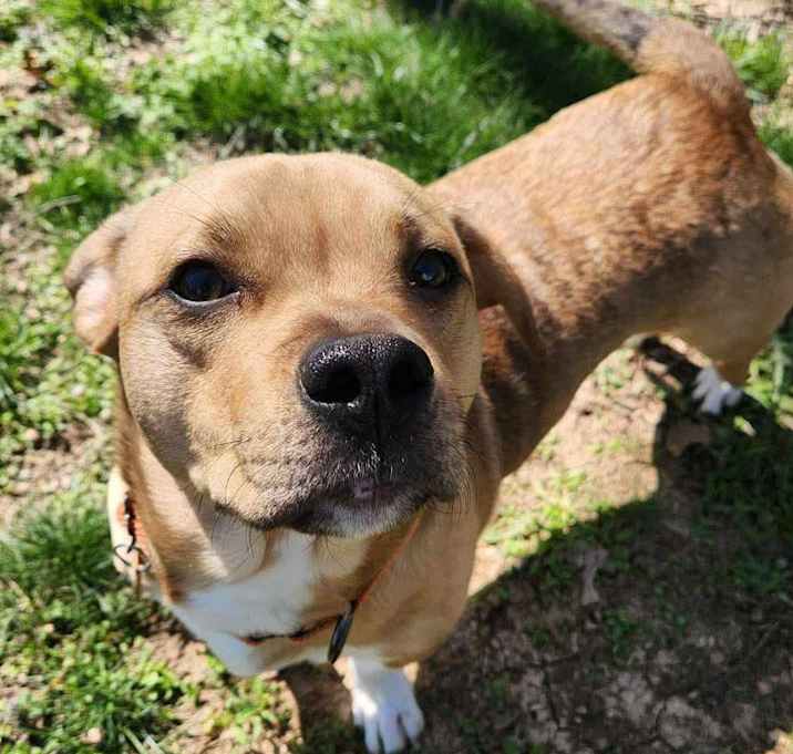 Photo of Buddy