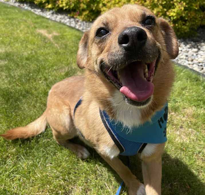 Photo of Ace