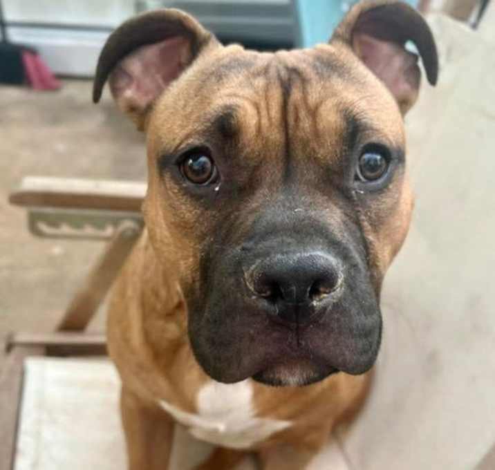 Photo of Kiki