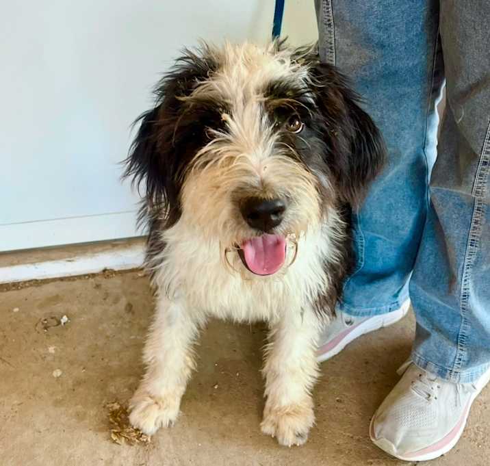 Photo of Lucy