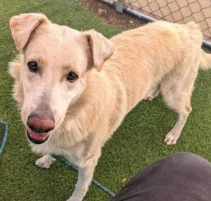 Photo of NALA