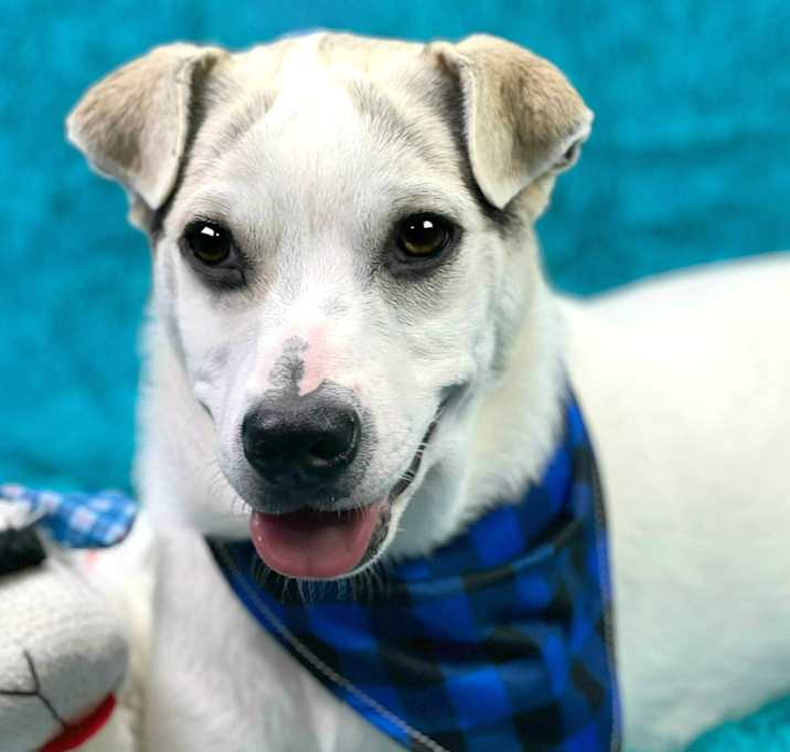 Photo of Titus