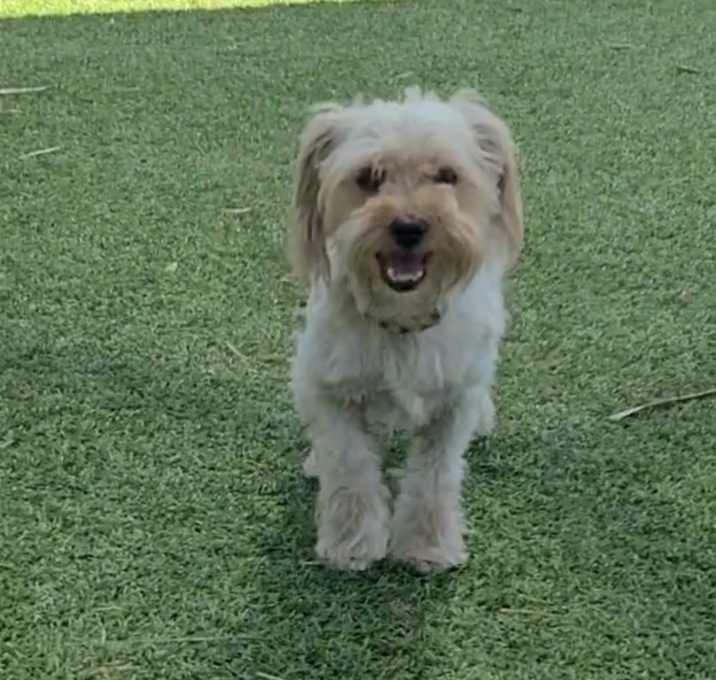 Photo of Estrella