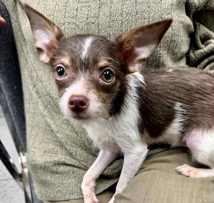 Photo of Spice