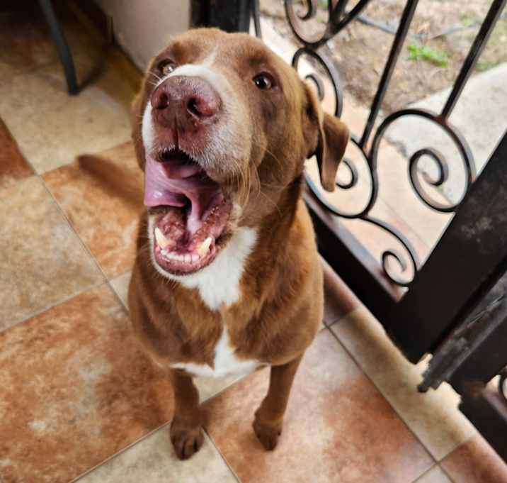 Photo of Hershey