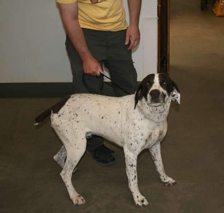 Photo of Maverick