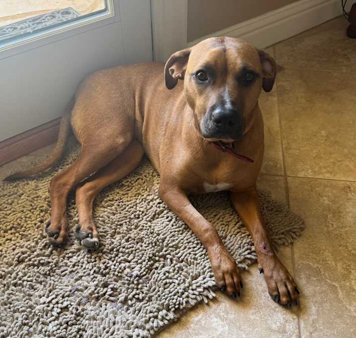 Photo of Jazz