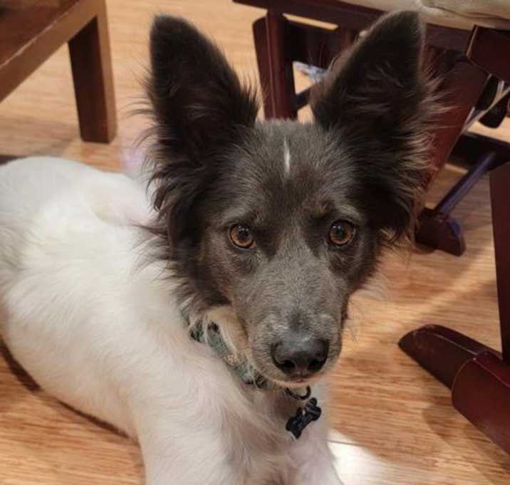 Photo of Sterling