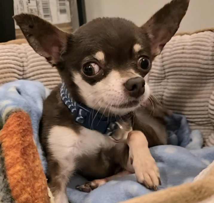 Photo of Sid