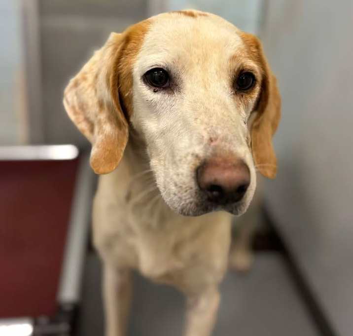 Photo of Cash