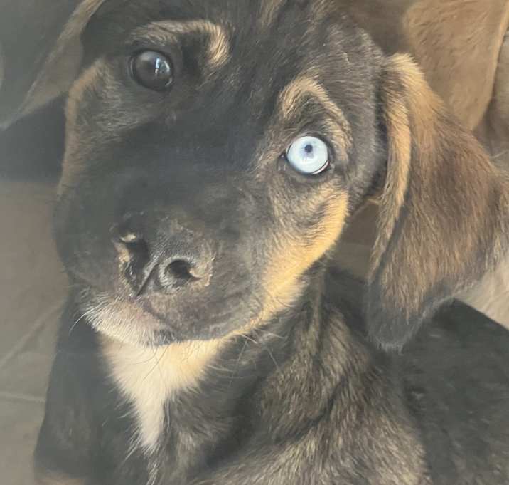 Photo of (No Name Yet)