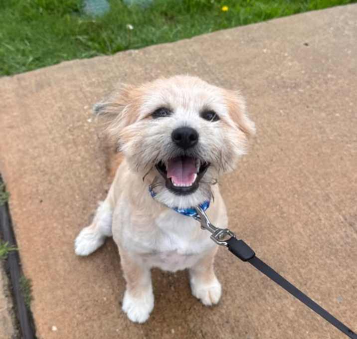 Photo of Max